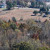 Summertown | DJI_20231104131703_0358_D.JPG