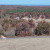 Summertown | DJI_20231104131827_0364_D.JPG