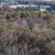 Summertown | DJI_20231104131712_0359_D.JPG