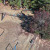 Summertown | DJI_20231104154254_0489_D.JPG
