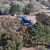 Summertown | DJI_20231104154633_0500_D.JPG