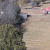 Summertown | DJI_20231104133327_0398_D.JPG
