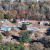 Summertown | DJI_20231104152346_0441_D.JPG