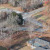 Summertown | DJI_20231123151015_0159_D.JPG