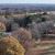 Summertown | DJI_20231123145531_0116_D.JPG