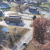 Summertown | DJI_20231123145740_0126_D.JPG