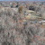Summertown | DJI_20231123145305_0101_D.JPG