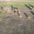 Summertown | DJI_20240329181939_0825_D.JPG