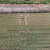 Summertown | DJI_20250704105259_0029_D.JPG